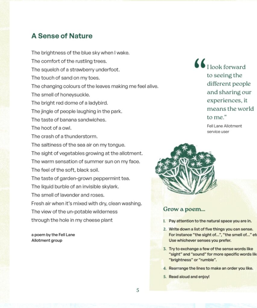Page from inside the Aireheads booklet showing a poem called 'A Sense of Nature' and some nature writing prompts