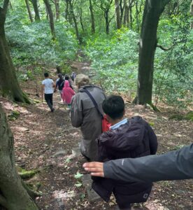 Seen from their backs, a mixed group of children and adults climb down a steep pathway in a summer woodland of green trees