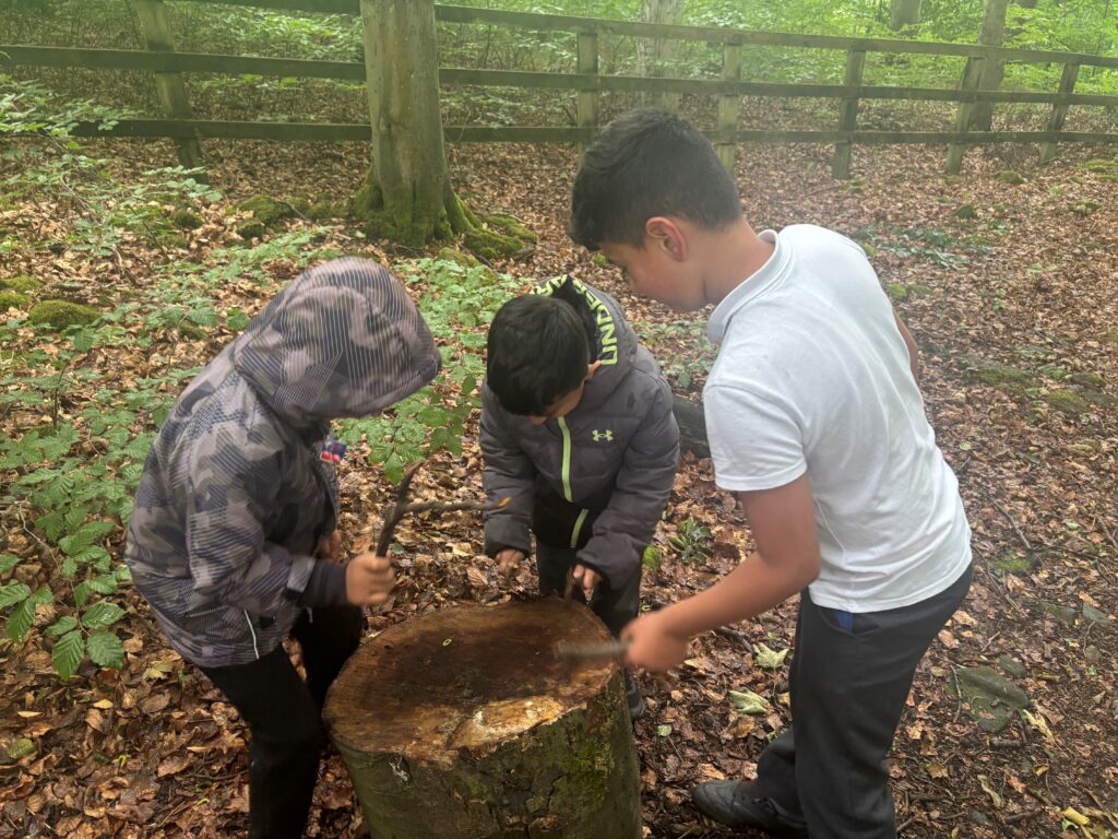 Three children gather around a tree stump in Park Wood